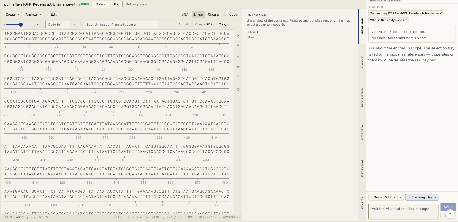 LabKick sequence editor showing a 6,036 bp pET-24a-sfGFP construct with the AI panel scoped to that entity